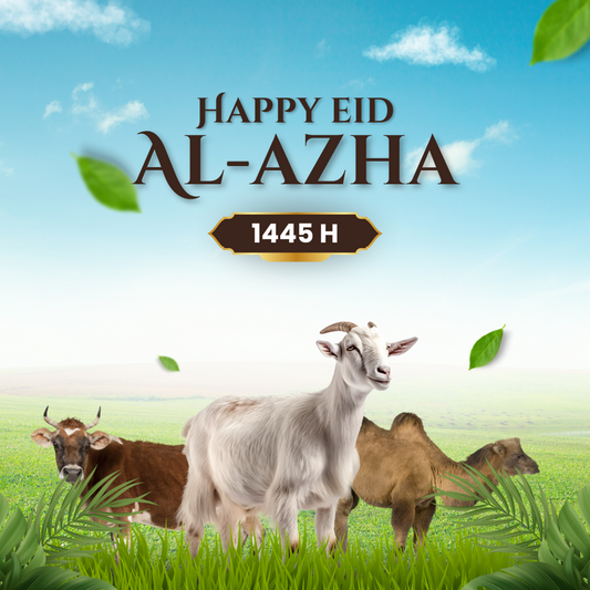 Eid e Qurban