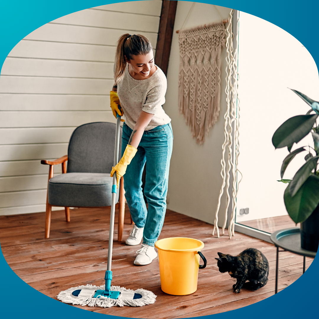 Household Cleaning Products